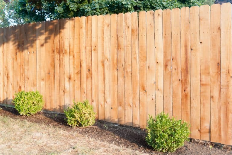 Cedar fence built in a newly built house, Six Best Stains For A Cedar Fence