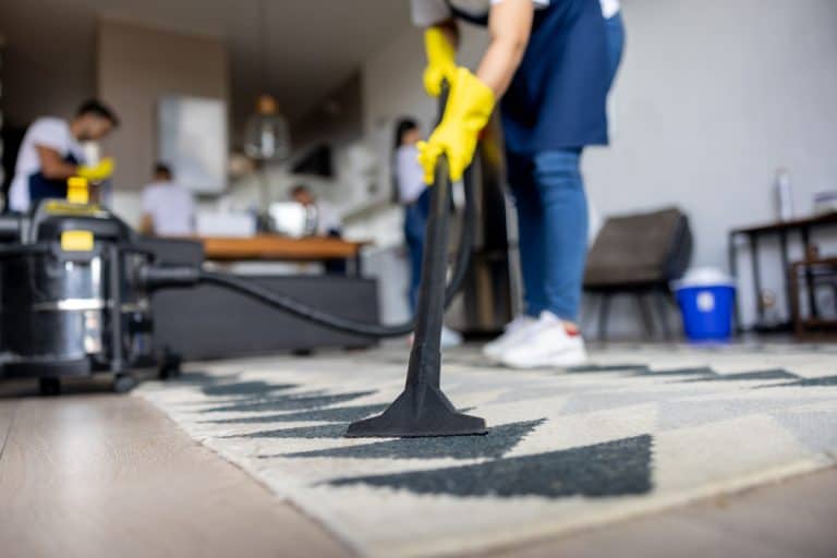 Close-up on a professional cleaner vacuuming a carpet while working at an apartment - housework concepts,Can I Use Laundry Detergent In My Carpet Cleaner? [& How To]