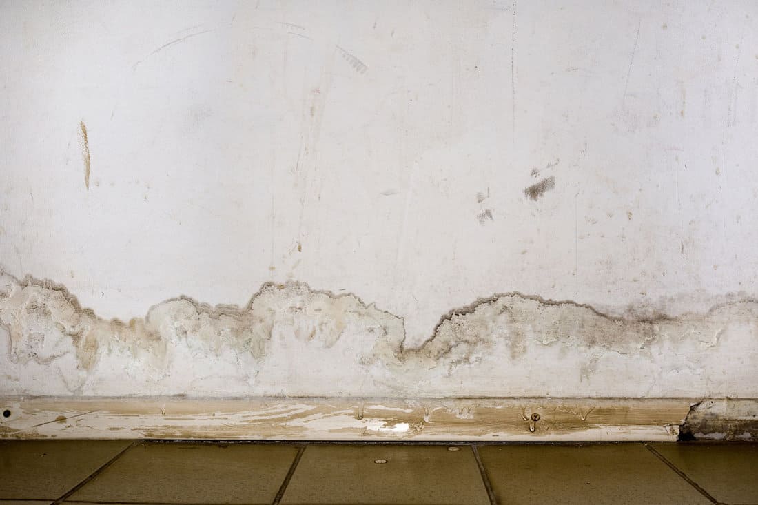 Flooding rainwater or floor heating systems, causing damage, peeling paint and mildew causes molds