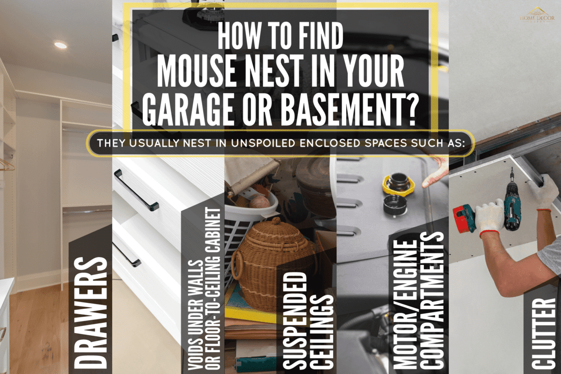 Collaged photo of different areas where a mouse would nest, How To Find Mouse Nest In Your Garage Or Basement?