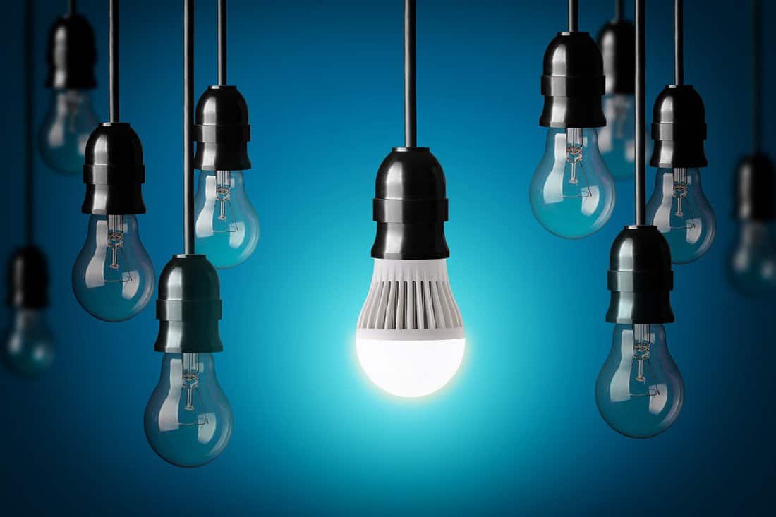 In Closing - LED bulb and simple light bulbs.