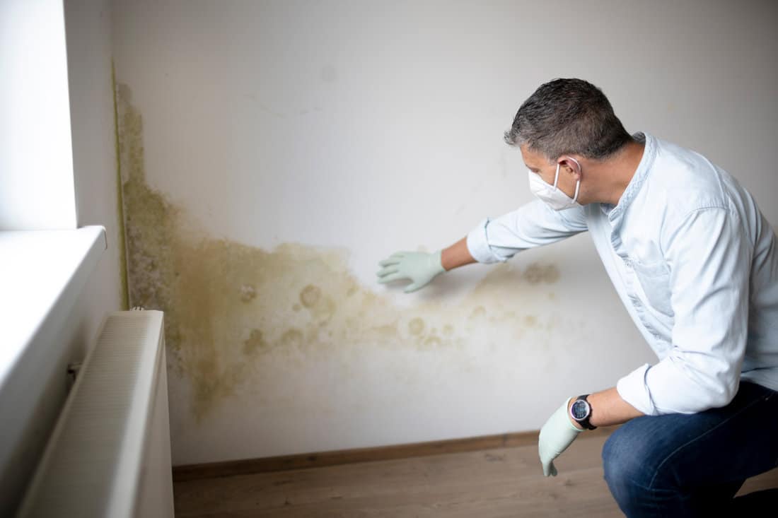 Man checking the wall with mold spreading