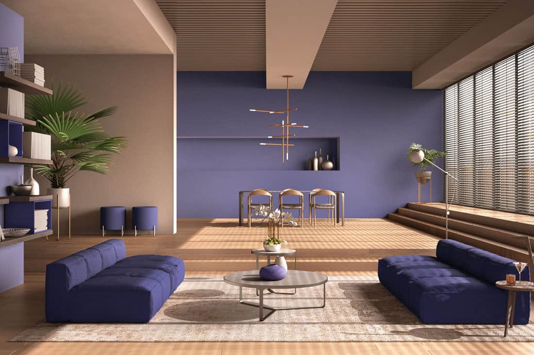 Modern living room in purple tones, hall, open space with parquet oak floor with steps, sofa, carpet and coffee tab