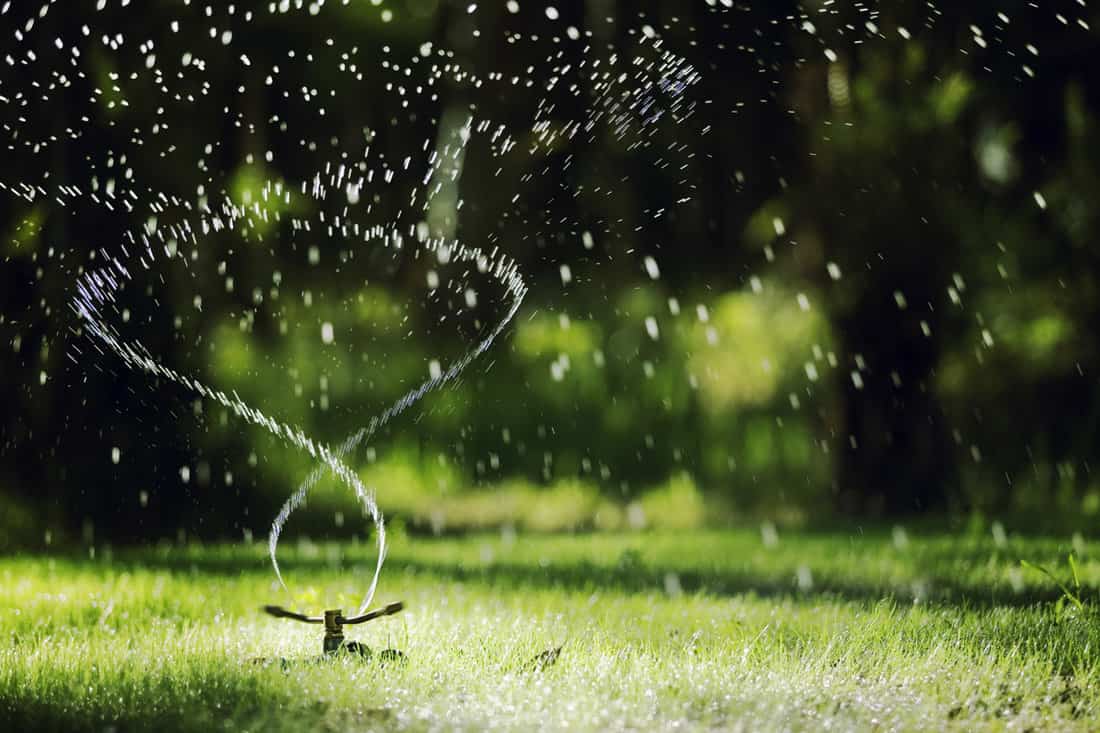 Narrow depth of field Sprinkler head sprinkles water on grass with bokeh background.