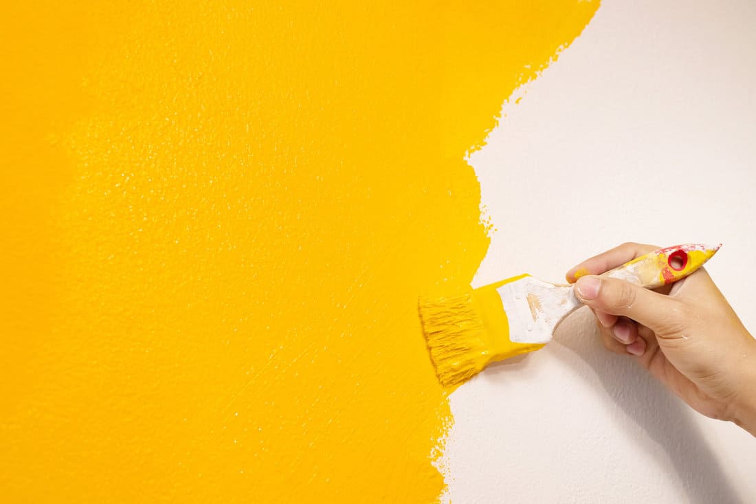 Paint brush, close up hand painter worker painting on surface wall Painting apartment, renovating with yellow color paint. Leave empty to write descriptive text beside.