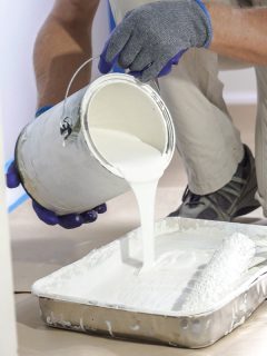 Professional interior construction worker pouring white color paint to tray, Sherwin Williams Alabaster Vs Pure White: Which To Choose?