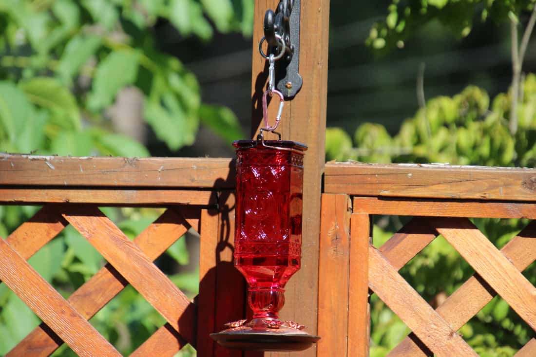 Red glass square humming bird feeder