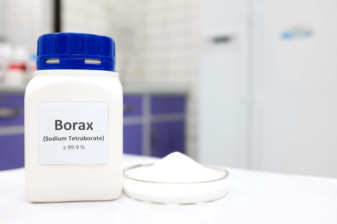 Selective focus of a bottle of borax chemical compound or sodium tetraborate beside a petri dish with solid powder substance. 