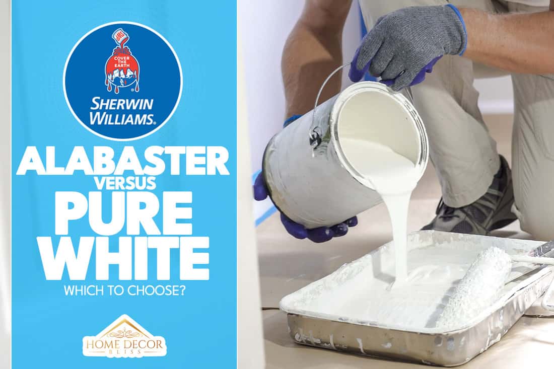 A professional interior construction worker pouring white color paint to tray, Sherwin Williams Alabaster Vs Pure White: Which To Choose?