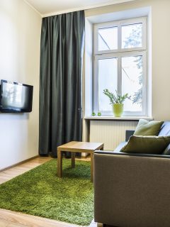Small and cozy living room with green carpet, Living Room Curtain Ideas For Small Windows - 17 Ideas You Will Love! (With Pictures)