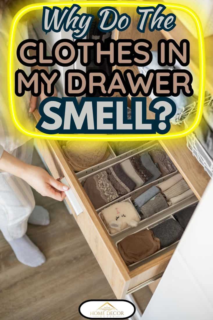 Unidentified neat housewife puts container with socks and pantyhose on wardrobe drawer during general cleaning by modern storage system. Concept of beautiful and comfo, Why Do The Clothes In My Drawers Smell?