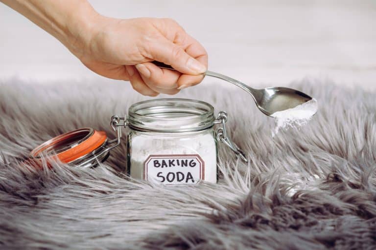 Woman hand pouring baking soda Sodium bicarbonate in long hair fur carpet for cleaning and stain removal. Natural home cleaners concept. - How To Get Baking Soda Out Of Carpet [Even Without A Vacuum]