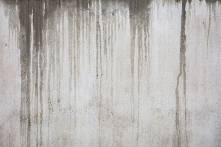 Wet concrete wall background at rainy day, How Long Does It Take For A Wall To Dry Out After A Leak Causes Water Damage [And How To Dry It Faster]?