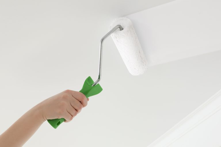 Woman painting ceiling with white dye indoors using roller, What Sherwin Williams Paint Is Best For Ceiling?