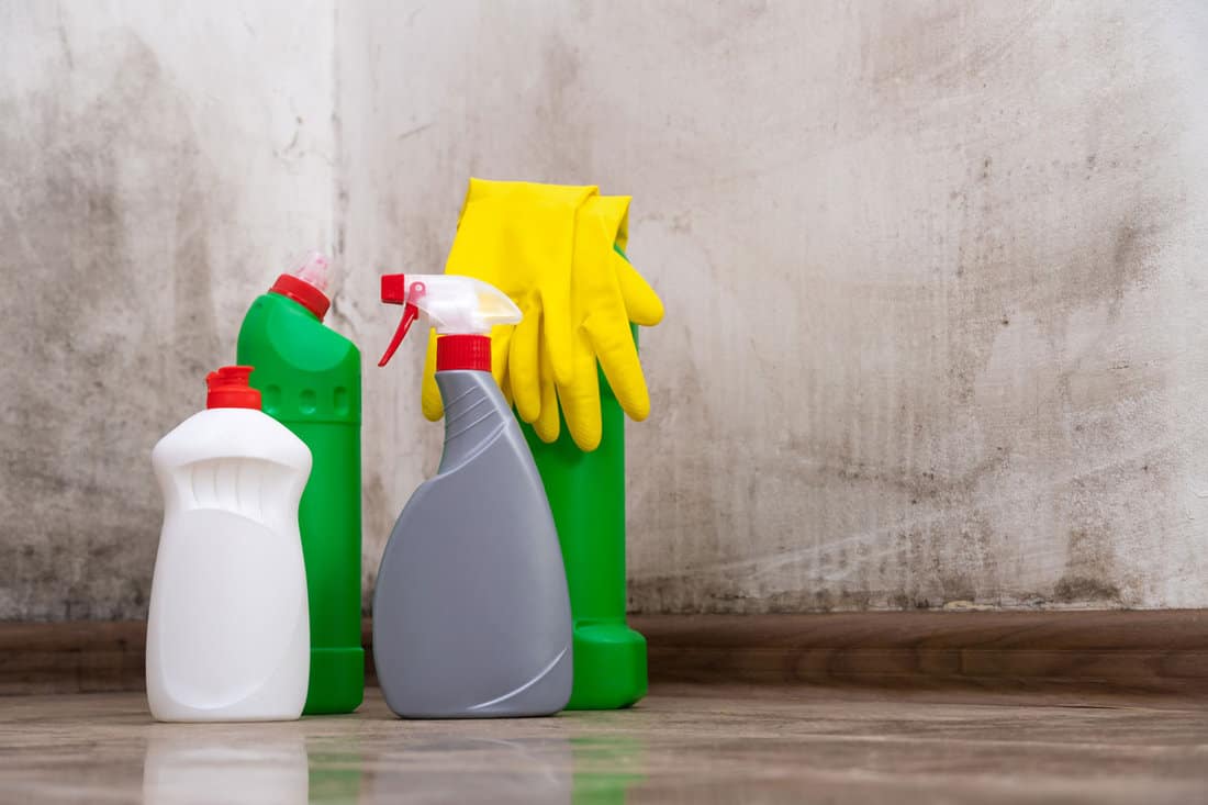 cleaning products standing on the floor, yellow gloves for removing mold from the walls