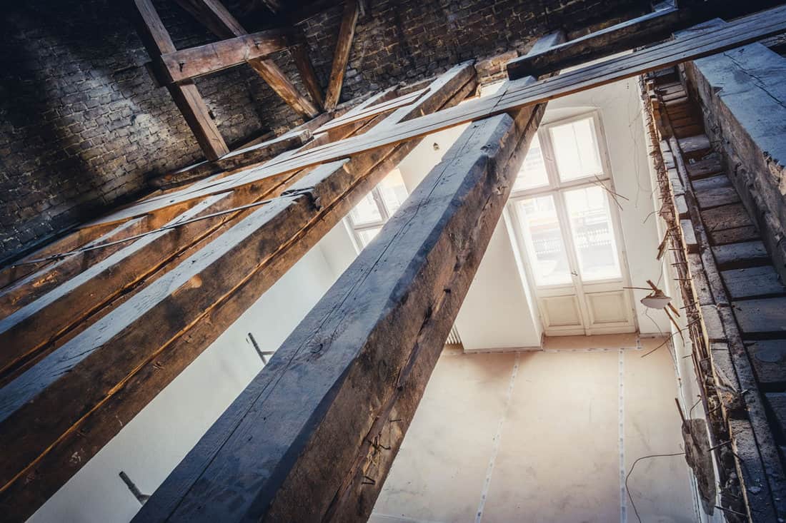 empty-attic-loft-during-dry-rot