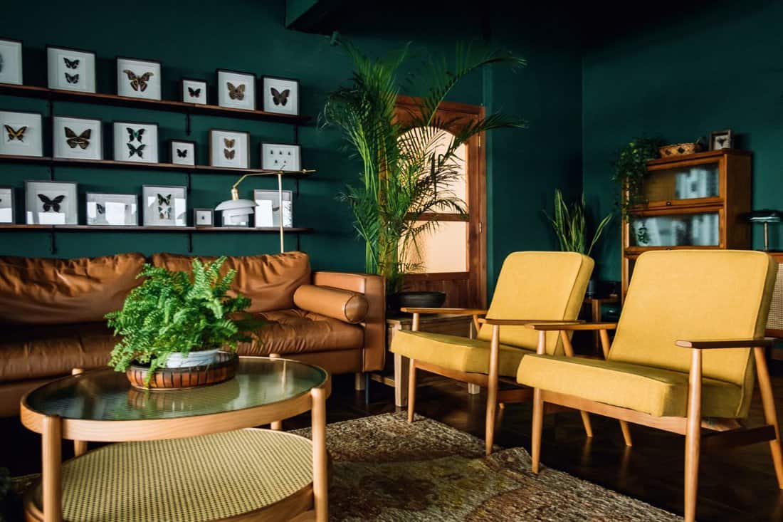 A stylish living room interior with brown and yellow colored furniture and wooden elements with dark green colored wall