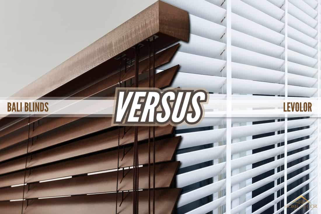 collab-photo-of-a-bali-blinds-and-a-levolor-blinds, Bali Blinds Vs Levolor Pros & Cons - Which To Choose For Your Home?