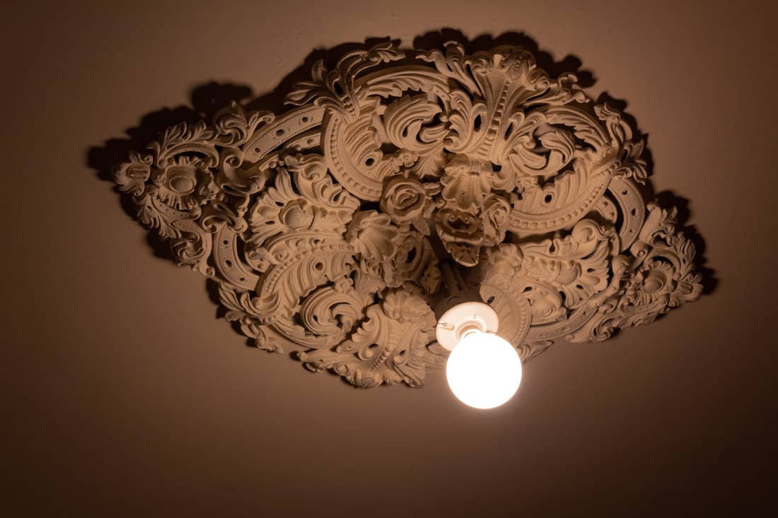Bare light bulb extending from an extremely ornate cast plaster ceiling medallion, horizontal aspect