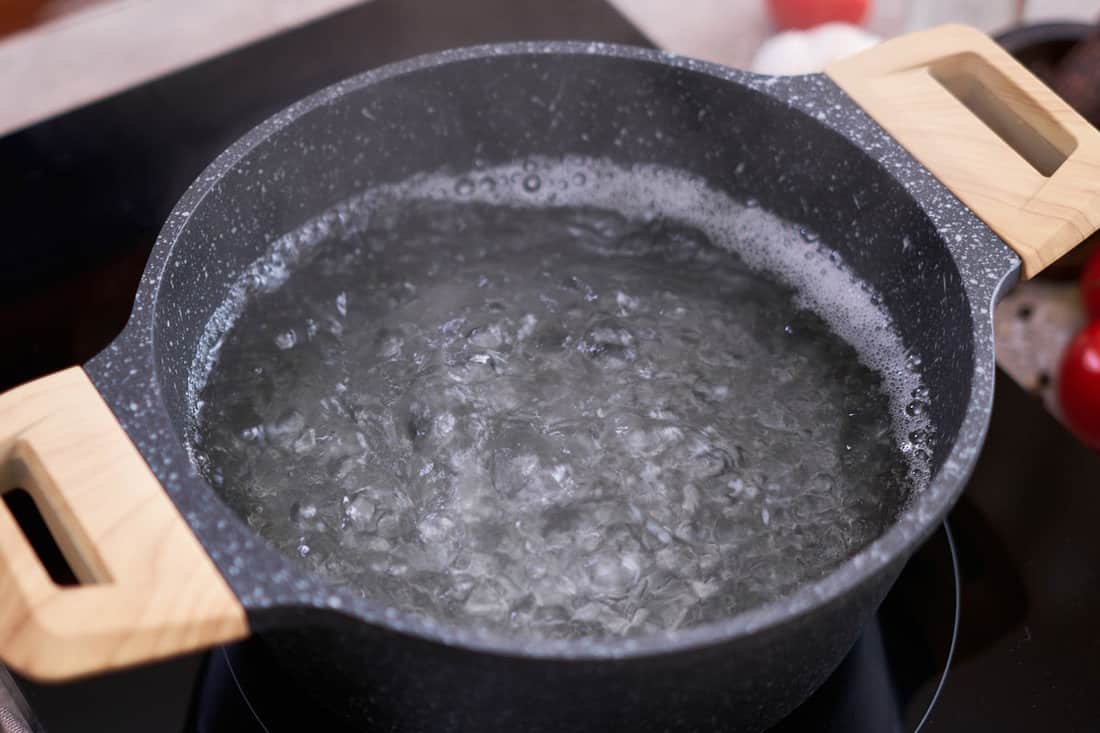 Boiling water in a cooking pot an a pan on a induction stove