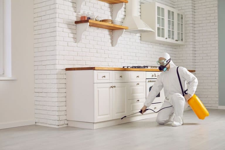Exterminator fighting insects in house. Pest control home service guy in mask and white protective suit, How To Get Rid Of Pesticide Smell In House [Quickly & Easily]