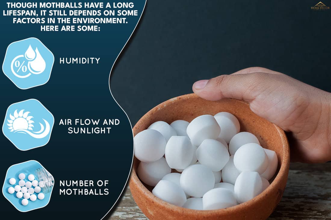 A hand holding full of white naphthalene or moth balls in a ceramic pot, How Long Do Mothballs Last When Placed Outside?