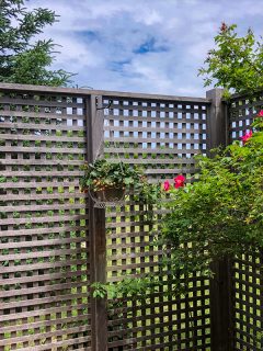 A hanging baskets with flowers on lattice style fence, How To Cover A Lattice For Privacy In Your Yard [9 Ideas To Inspire You]