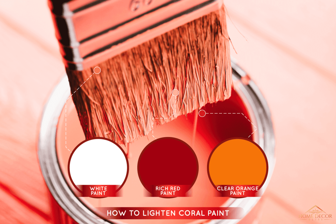 Dipping paint brush on to coral paint, How to Make Coral Paint [What Colors to Combine]