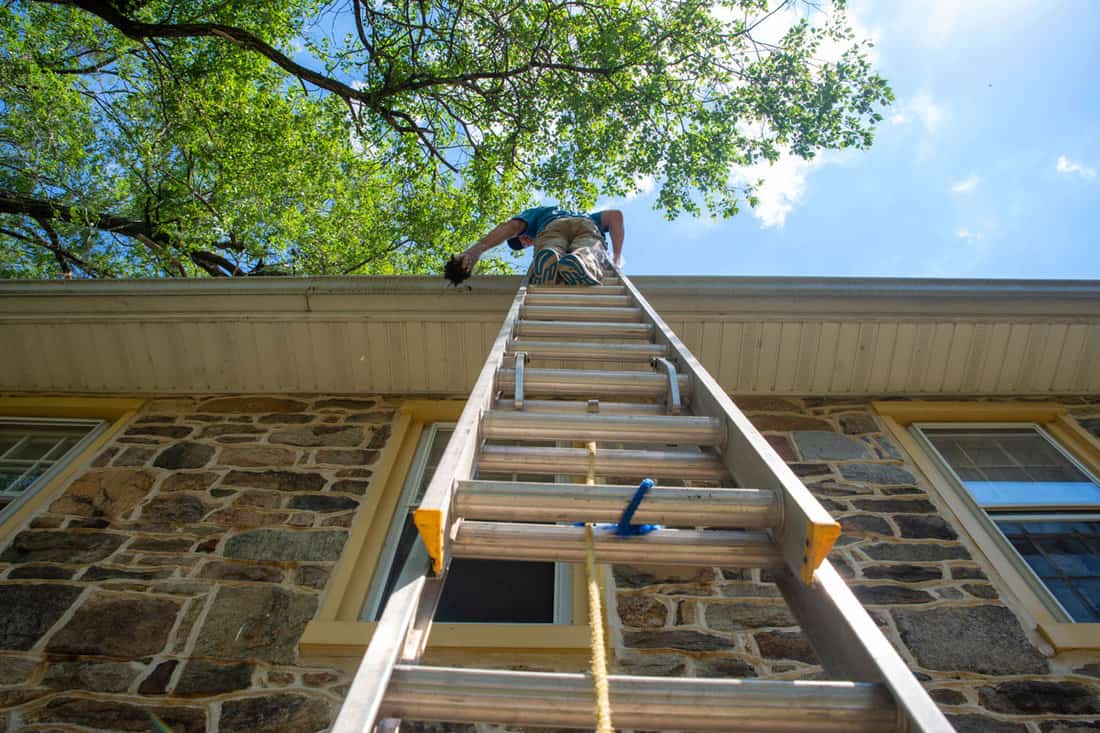 Man on a ladder cleans the gutters on an old Pennsylvania stone home with blue sky and green trees overhea