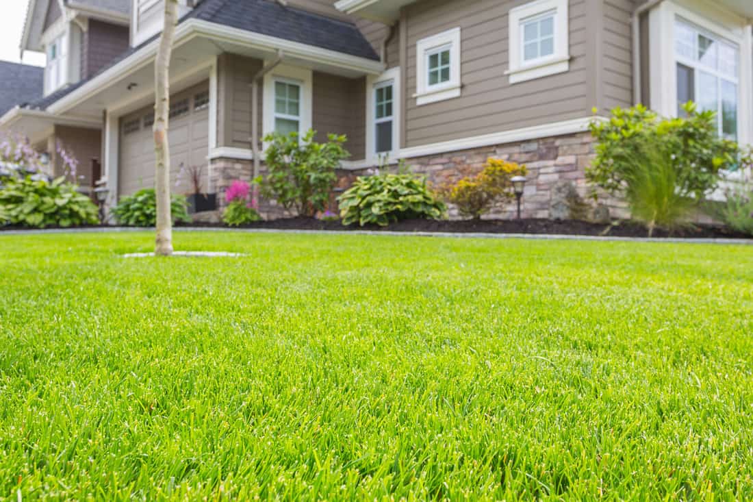 Nicely trimmed front yard with green grass in front of a luxury house.
