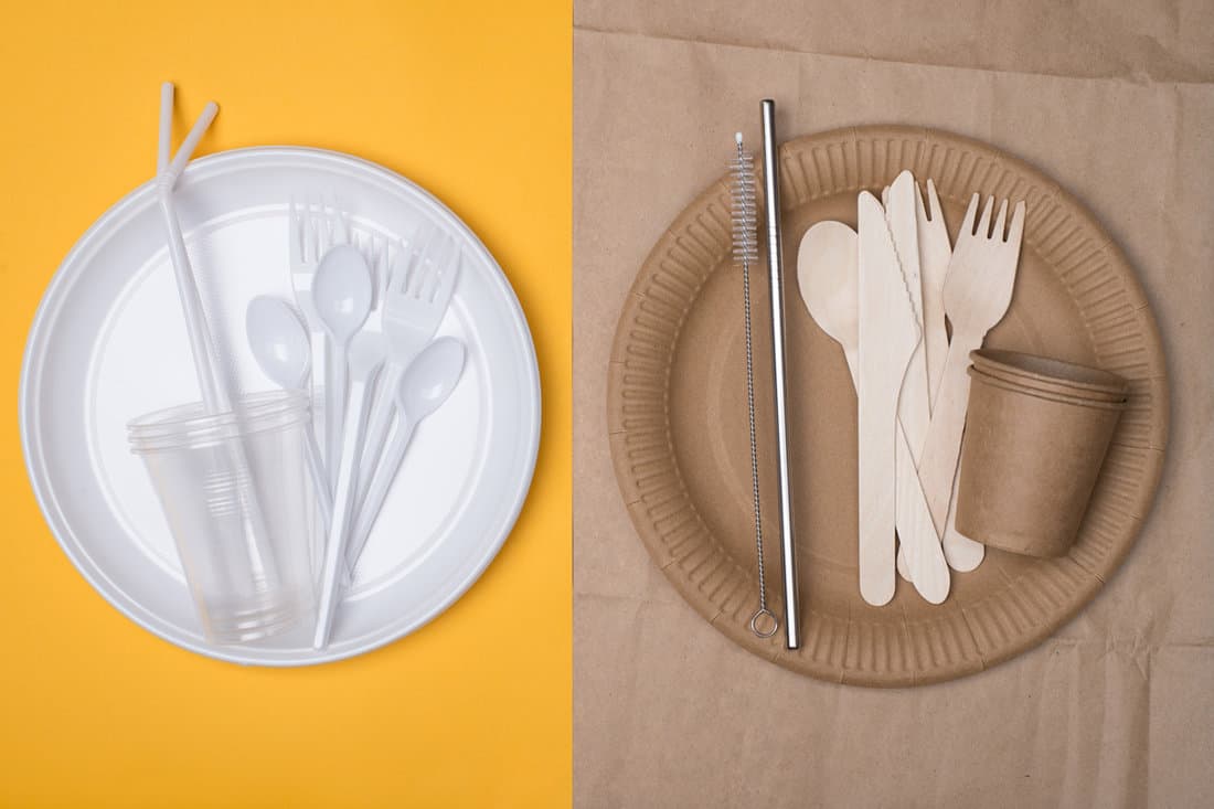 Plastic vs sustainable dinnerware choice concept.