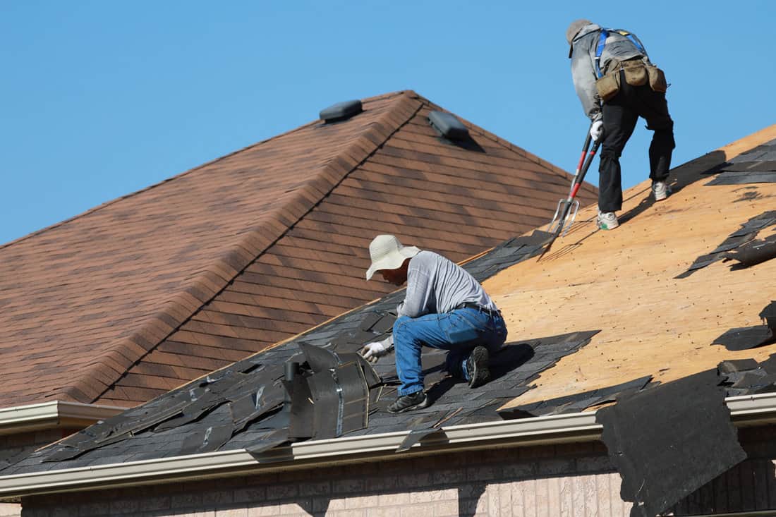 Roofers removing old asphalt shingles from the roof of a residential house