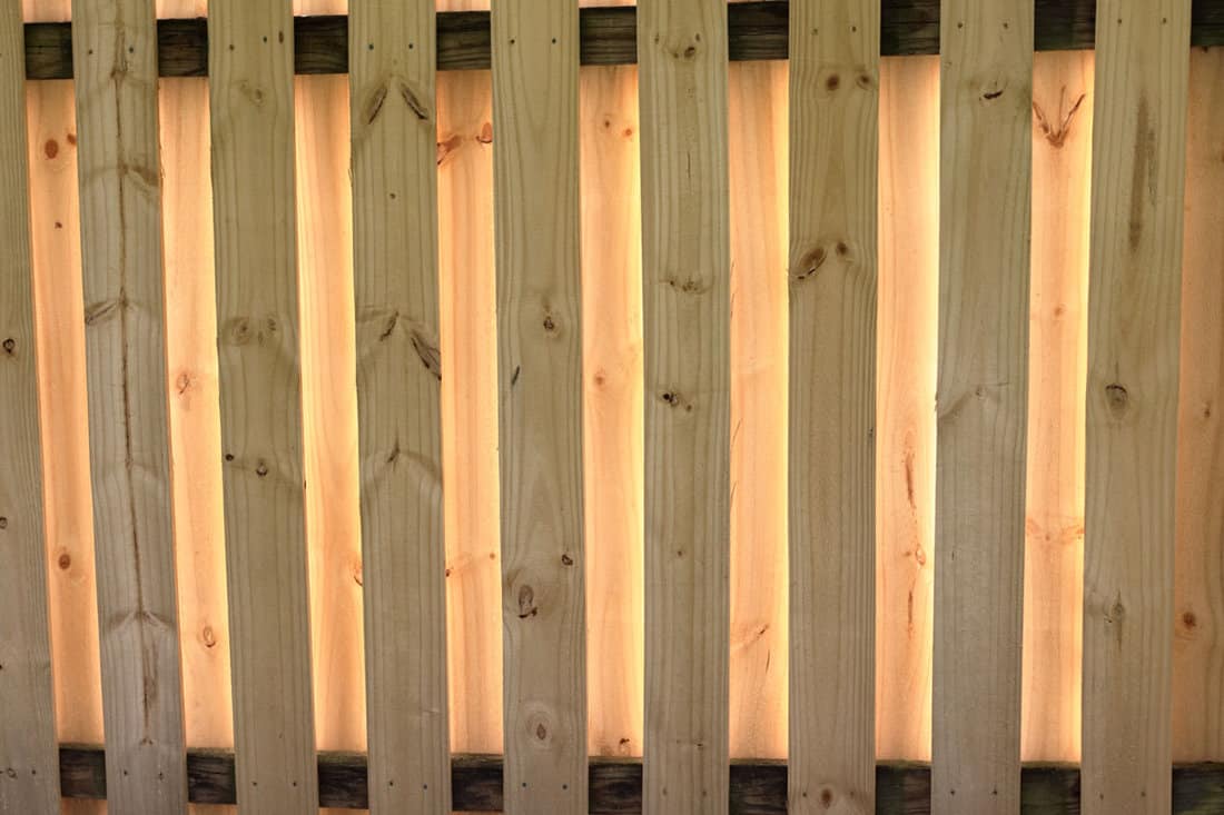 Shadowbox fence with sunlight illuminating from behind