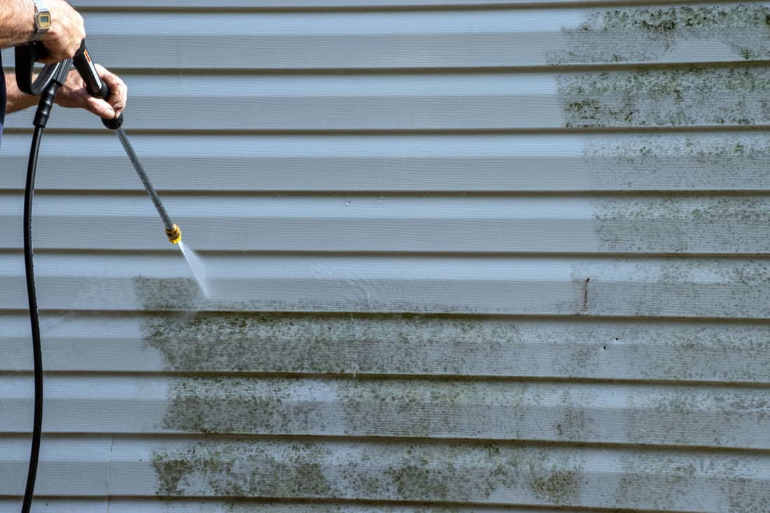 The vinyl siding is molded and slimy but a good power washing takes care of the problem nicely