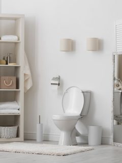 Toilet bowl in modern bathroom interior, Tankless Toilets Pros And Cons - Good Choice For Your Home? Let Us Help You Decide!