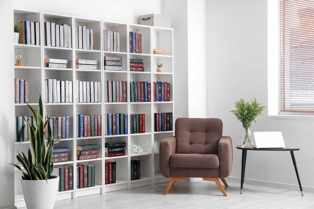 bookcase-armchair-modern-interior-room