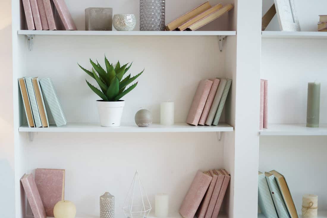 bookcase-pink-blue-books-plant-pot