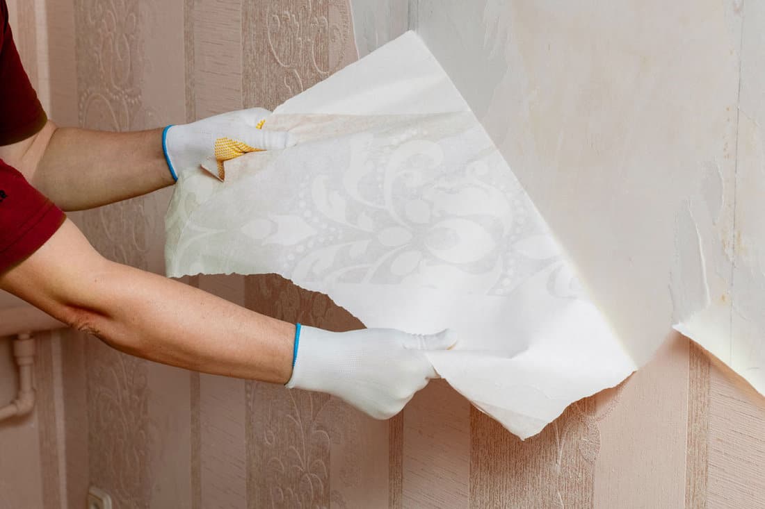 master-removes-old-wallpaper-wall-repair
