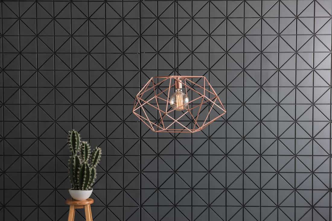photoblack-pattern-wall-interior-cactus-modern