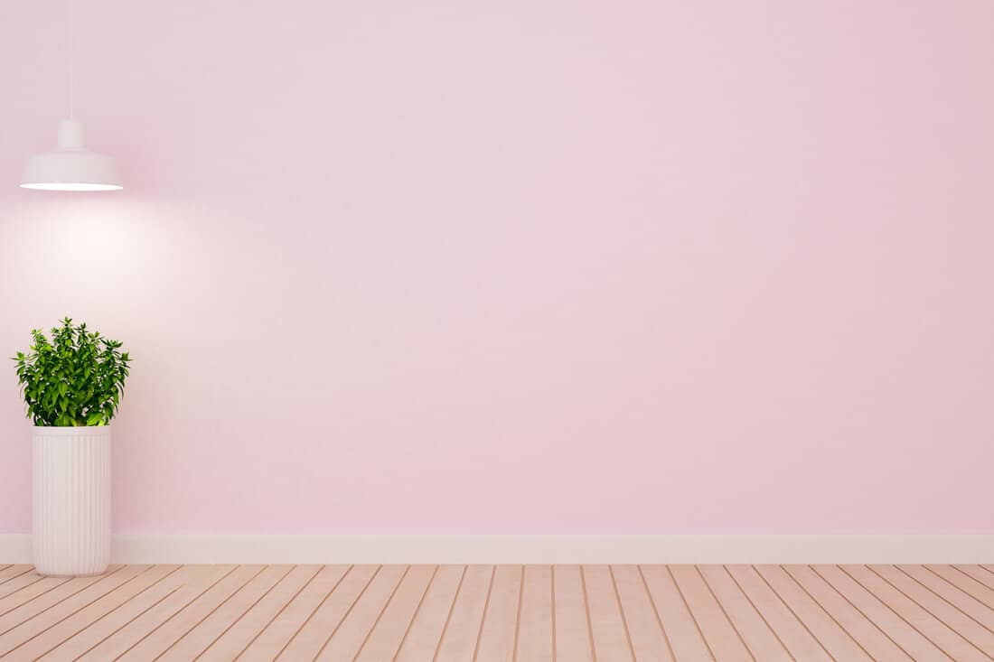 plant and pendent lamp in empty room on light pink tone