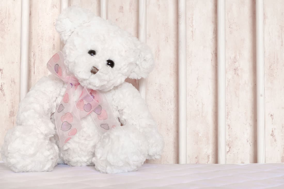 small-white-teddy-bear-sitting-child