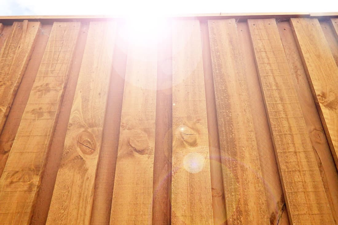 sunflair over the wooden fence