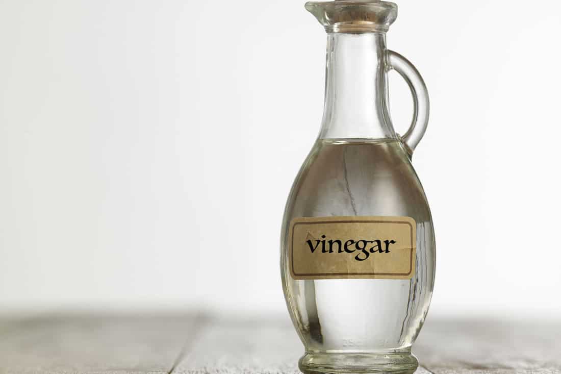 White vinegar on bottle 
