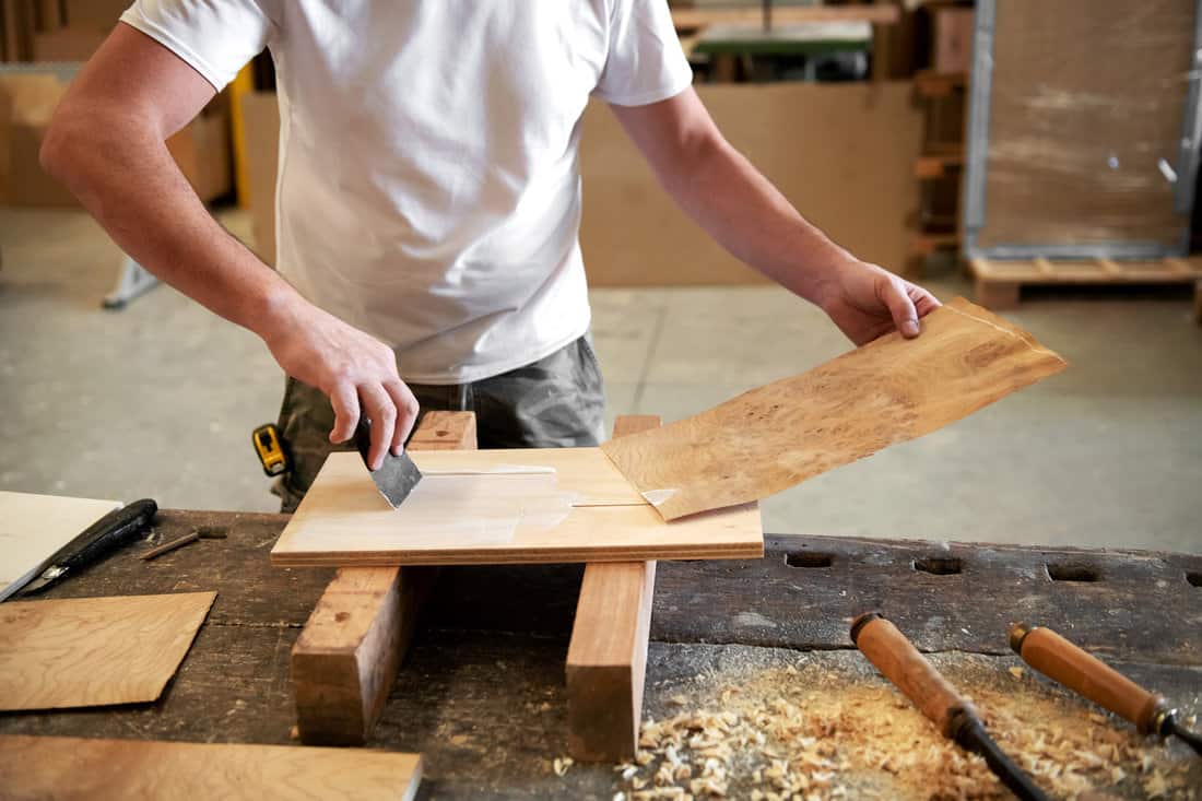 Carpenter applying glue to attach a panel of briar root veneer to a block of wood in a woodworking factory or workshop during manufacturing 
