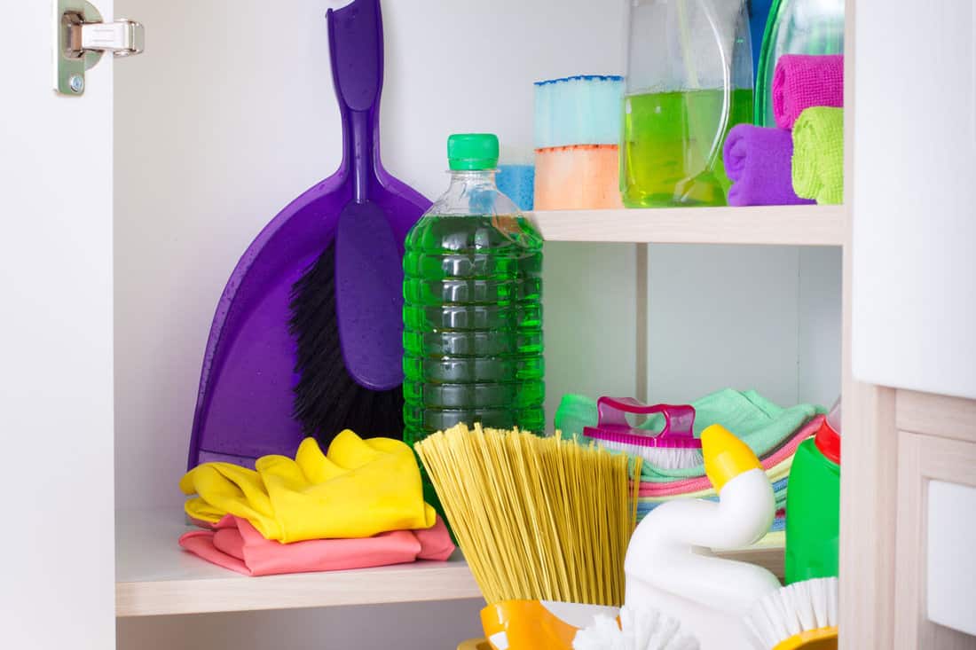 Cleaning supplies and tools arranged on shelves in pantry