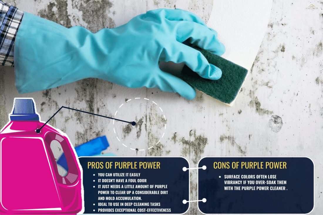 Hand with glove cleaning mold from wall with sponge and spray bottle, Does Purple Power Kill Mold?