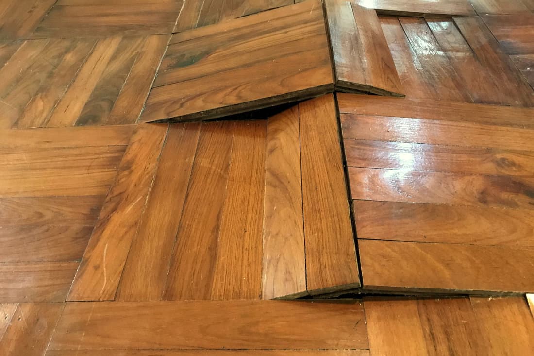 Damaged parquet floor because of humidity and moisture, bending and come out, image captured by smartphone.