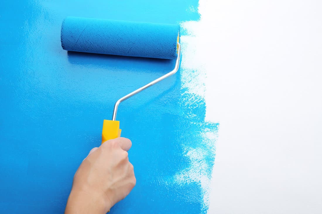 Decorator's hand painting wall with roller 