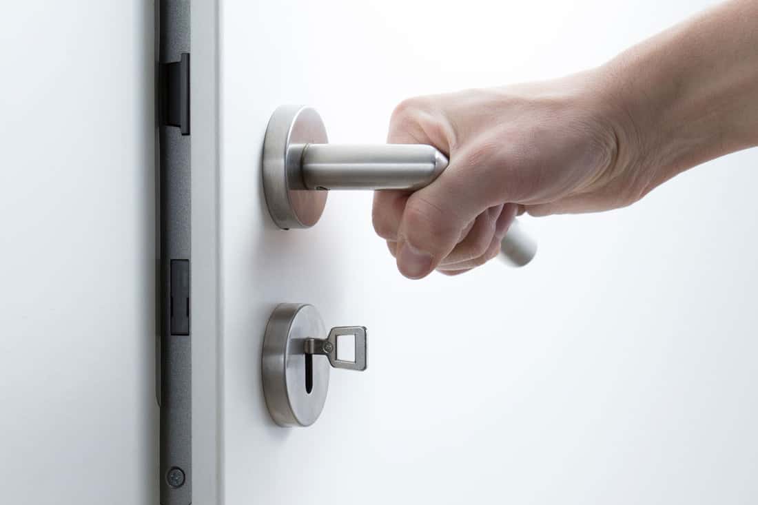 Door lock and handle