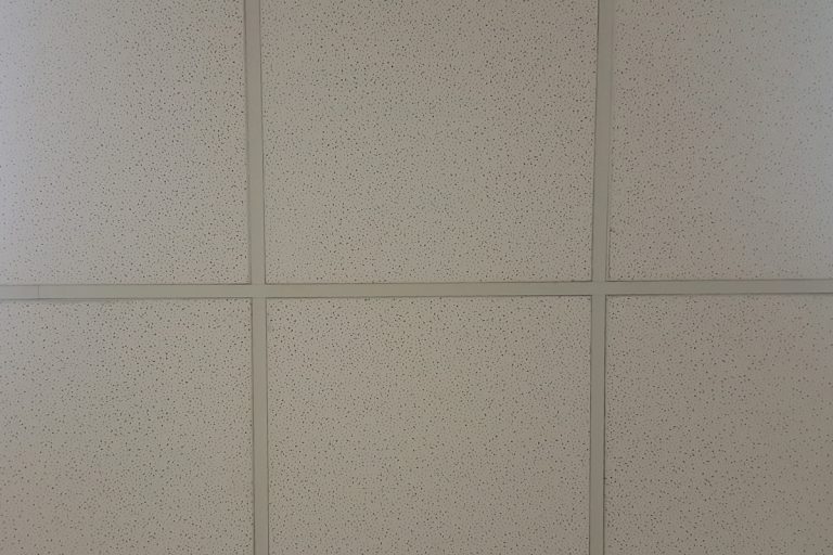 Gray dropped ceiling, What Kind Of Paint To Use On Drop Ceiling Grid? [Plus Helpful Tips & Considerations]